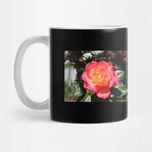 Dreamy Orange Rose Photograph Mug